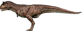 CarnoNull