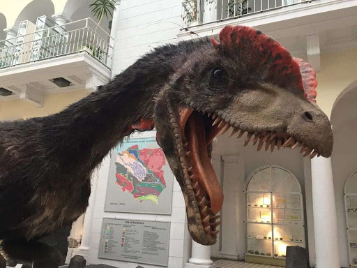 Dilophosaurus