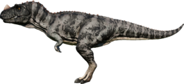 CeratoNull