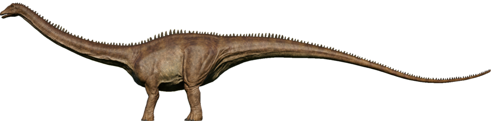 DiploNull
