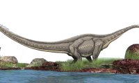 Zigongosaurus