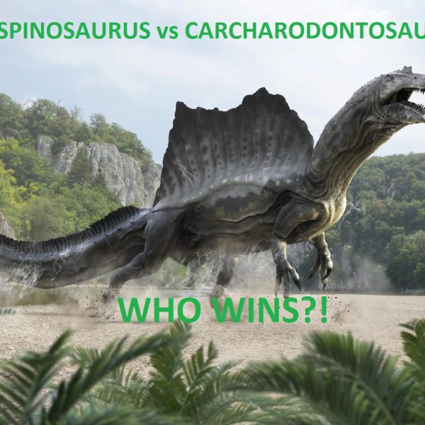 spinsoaurus